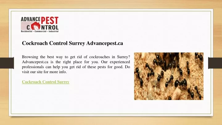 Ppt Cockroach Control Surrey Advancepest Ca Powerpoint Presentation