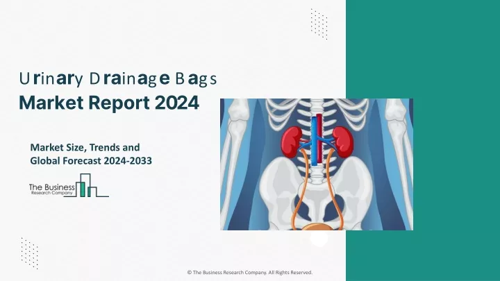 PPT Urinary Drainage Bags Market Scope Size Share Demand Report