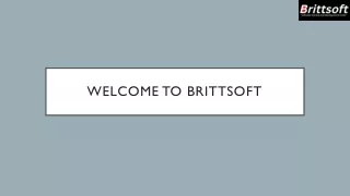 Business Analyst training in New York at Brittsoft