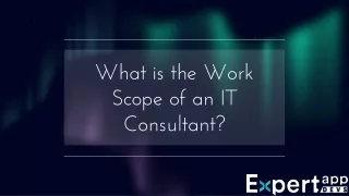 what is the work scope of an it consultant