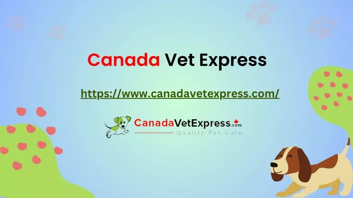 canada vet express