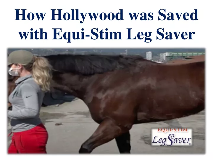 how hollywood was saved with equi stim leg saver
