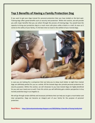 Top 5 Benefits of Having a Family Protection Dog
