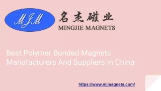 Polymer Bonded Magnets Manufacturers And Suppliers In China