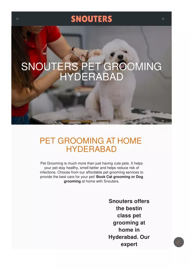 snouters pet grooming hyderabad