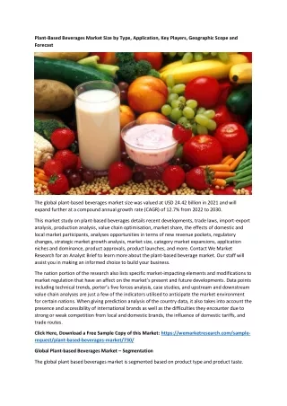 plant based beverages market size by type