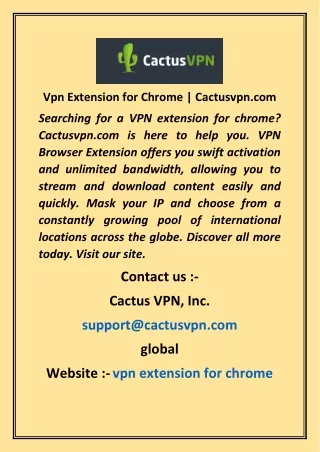 Vpn Extension for Chrome  Cactusvpn com