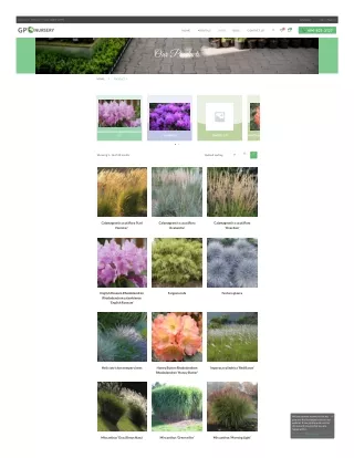 Best wholesale nurseries abbotsford