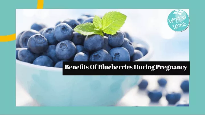 bene fi ts of blueberries during pregnancy bene