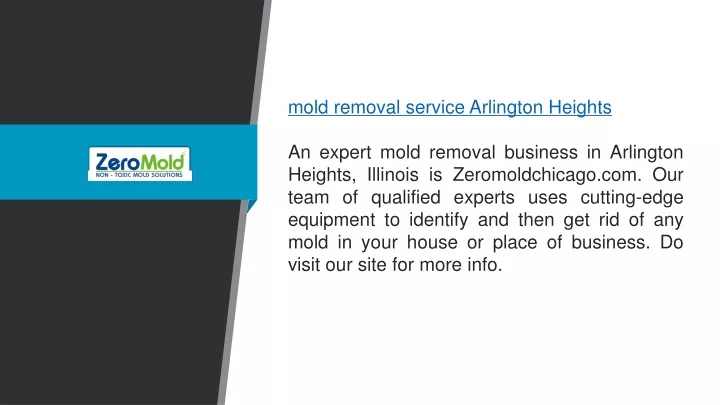 mold removal service arlington heights an expert