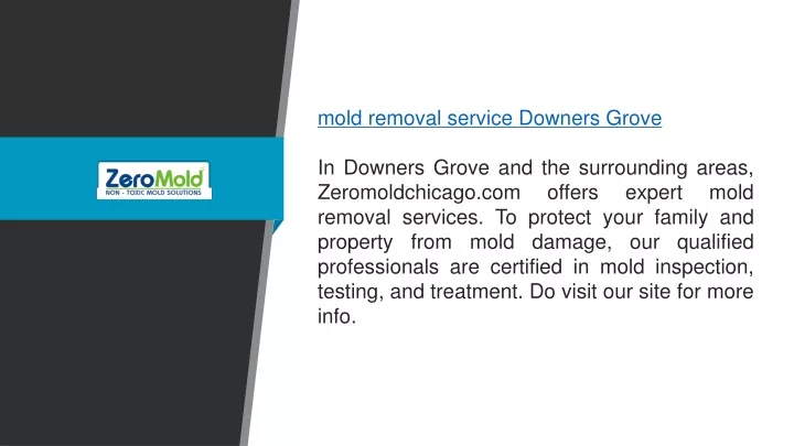 mold removal service downers grove in downers