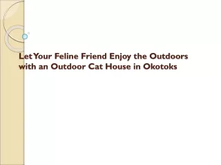 Let Your Feline Friend Enjoy the Outdoors with an Outdoor Cat House in Okotoks