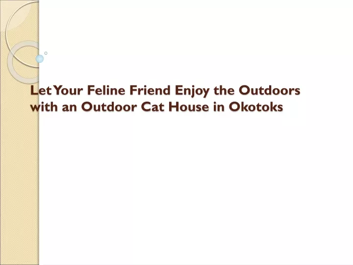 let your feline friend enjoy the outdoors with an outdoor cat house in okotoks