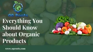 Everything You Should Know about Organic vegetables in Gurgaon