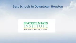 Best Schools in Downtown Houston (1)