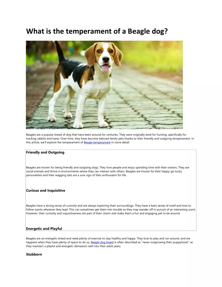 PPT - What Is The Temperament Of A Beagle Dog? PowerPoint Presentation ...