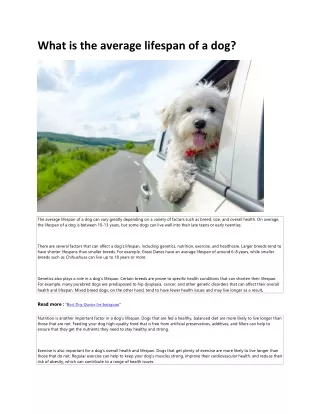 what is the average lifespan of a dog