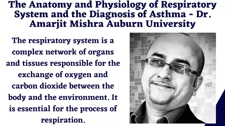 the anatomy and physiology of respiratory system