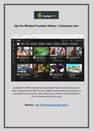 Vpn for Blocked Youtube Videos | Cactusvpn.com