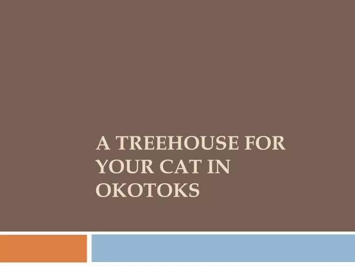 a treehouse for your cat in okotoks
