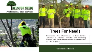 trees for needs