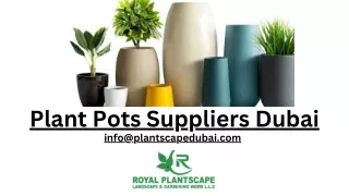 Plant Pots Suppliers Dubai