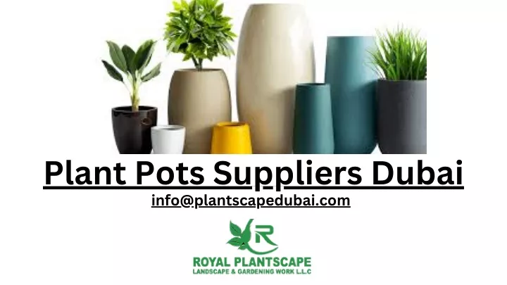 plant pots suppliers dubai info@plantscapedubai