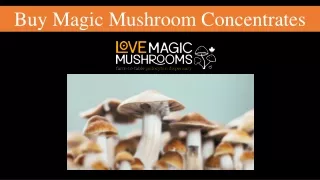 Buy Magic Mushroom Concentrates