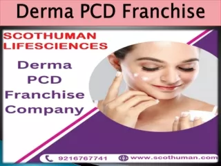 Understanding the Basics of Derma PCD Franchise
