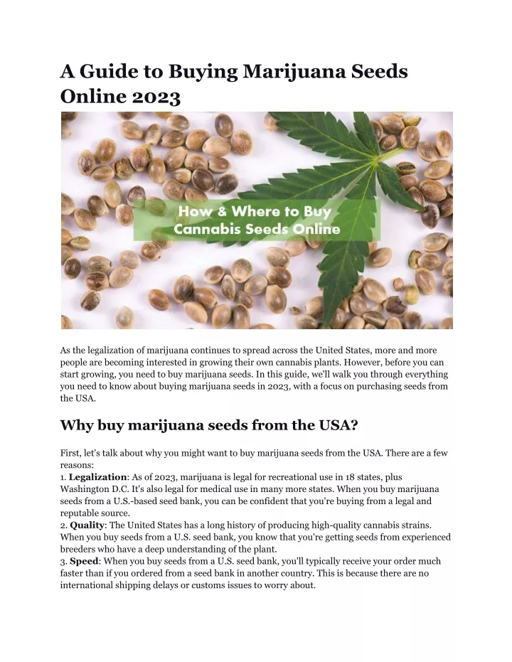 a guide to buying marijuana seeds online 2023