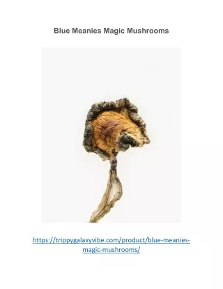 blue meanies magic mushrooms