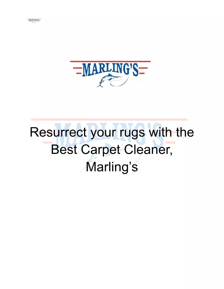 resurrect your rugs with the best carpet cleaner
