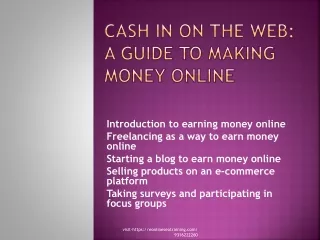 Cash in on the Web A Guide to Making Money Online