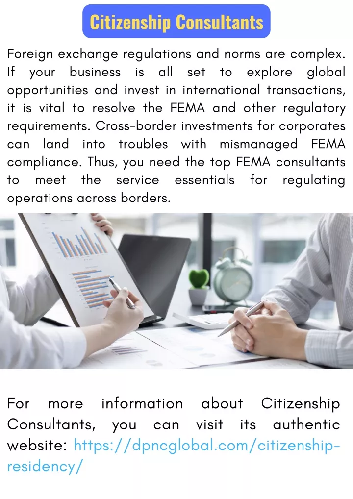 citizenship consultants