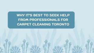 Why it’s best to seek help from professionals for carpet cleaning Toronto