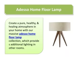 Adesso Home Floor Lamp