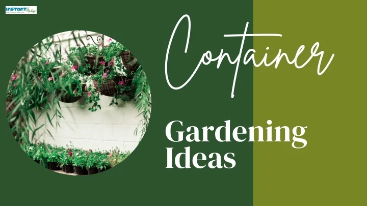 PPT - Container Gardening Designing Ideas To Design Your Garden Area ...