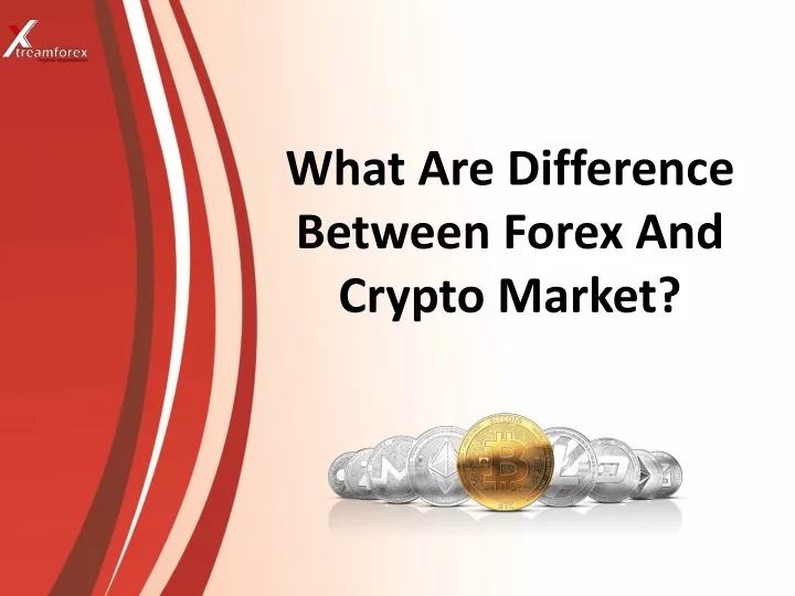 what are difference between forex and crypto market