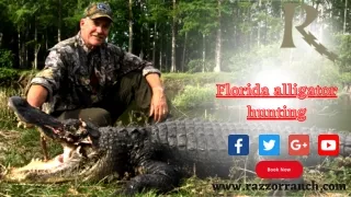 Florida Alligator Hunting- An Unforgettable Adventure!
