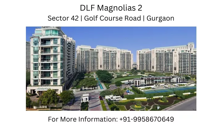 dlf magnolias 2