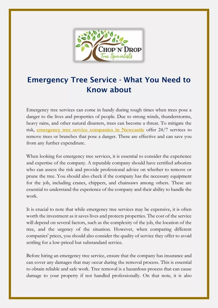 emergency tree service what you need to know