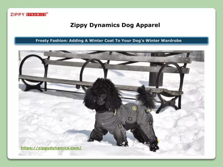 zippy dynamics dog apparel