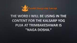 the word i will be using in the content for the kalsarp yog puja at trimbakeshwar is naga dosha