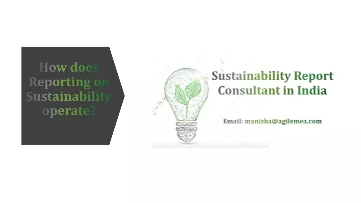 how does reporting on sustainability operate