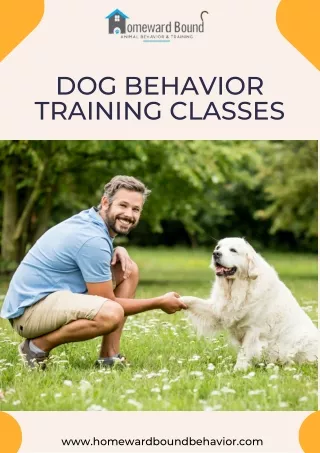 Dog Behavior Training Classes - Homeward Bound Animal Behavior and Training