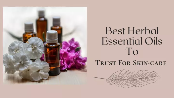 best herbal essential oils to trust for skin care