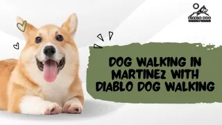 Dog Walking in Martinez with Diablo Dog Walking