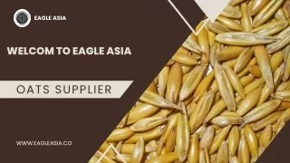 Get reliable services of an Oats supplier at your fingertips.