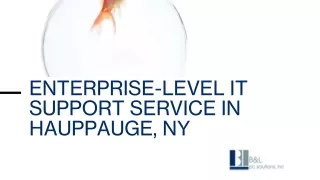 ENTERPRISE-LEVEL IT SUPPORT SERVICE IN HAUPPAUGE, NY_