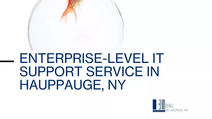 enterprise level it support service in hauppauge ny